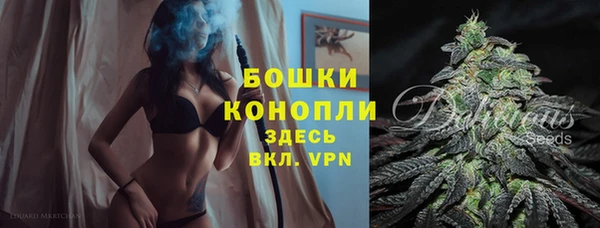 гашик Магадан