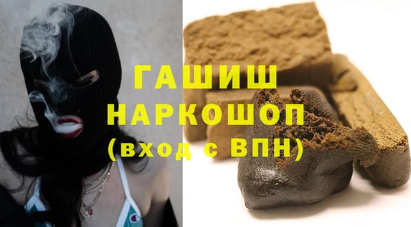 стаф Магас