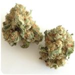Шишки "White Widow"  (Белая вдова)  Гидропоника -  Бошка VHQ в Нелидово